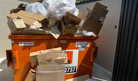 Dumpster overfloe cleanout services in Arkansas - The Strong Lion