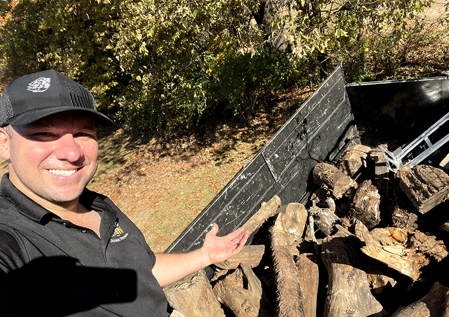 Tree & Green Waste Removal - The Strong Lion Junk Removal